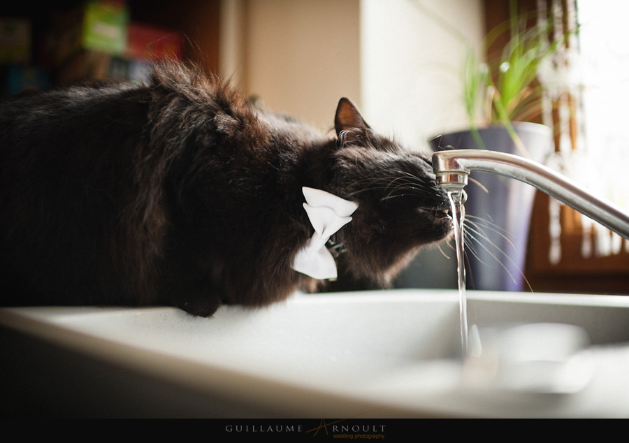 AetT_Guillaume_Arnoult_Photographe_Reportage_Mariage_Nantes-1040